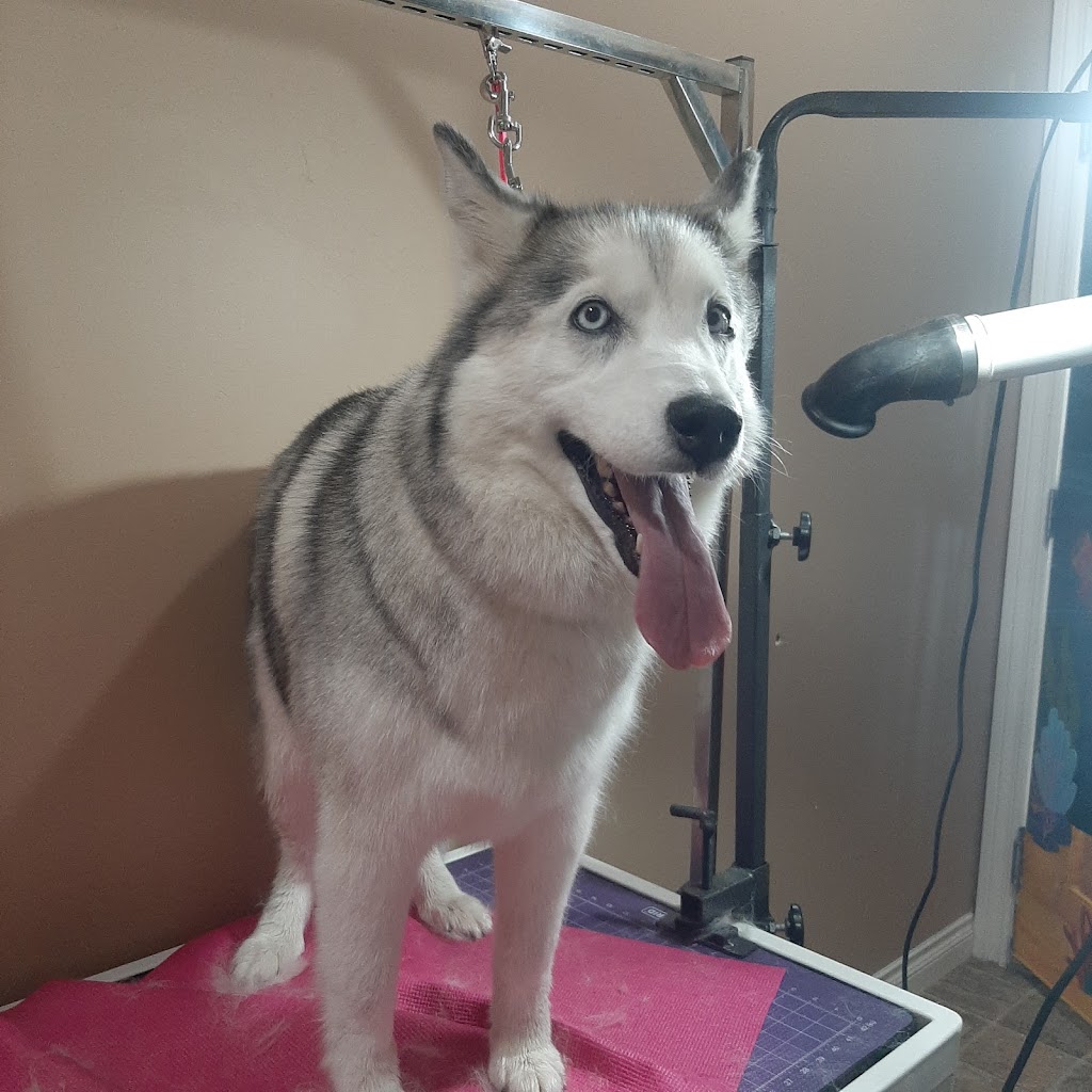 Loves Dogs - Grooming | 2073 High Country Rise, High River, AB T1V 0C9, Canada | Phone: (403) 336-2734