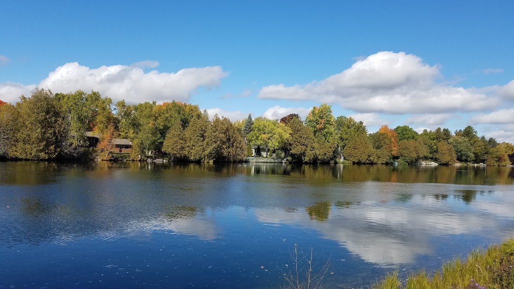Greenhouse On The River | 4115 County Rd 32, Douro-Dummer, ON K0L 2H0, Canada | Phone: (705) 652-8154