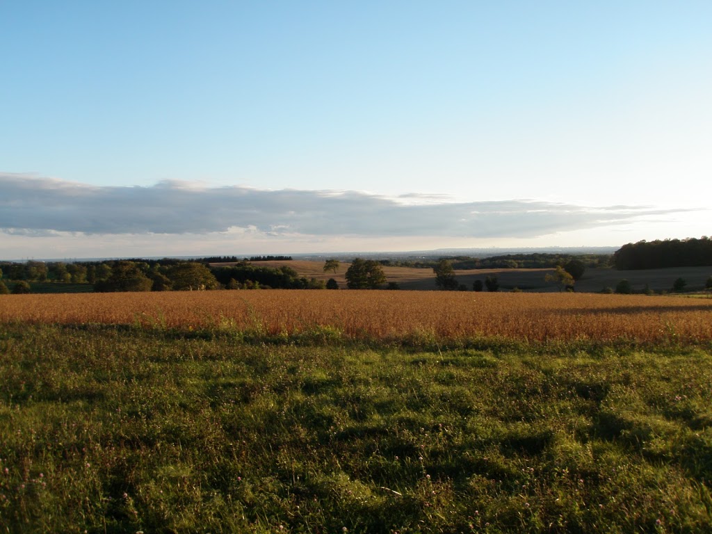 Rivett Farm | 1447 Concession Rd 9, Blackstock, ON L0B 1B0, Canada | Phone: (905) 626-0745