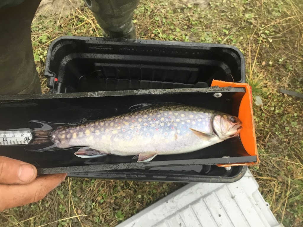 Kingfisher Aquatics Ltd. | 23 Otterbury Ave, Red Deer, AB T4N 4Z8, Canada | Phone: (403) 877-1787