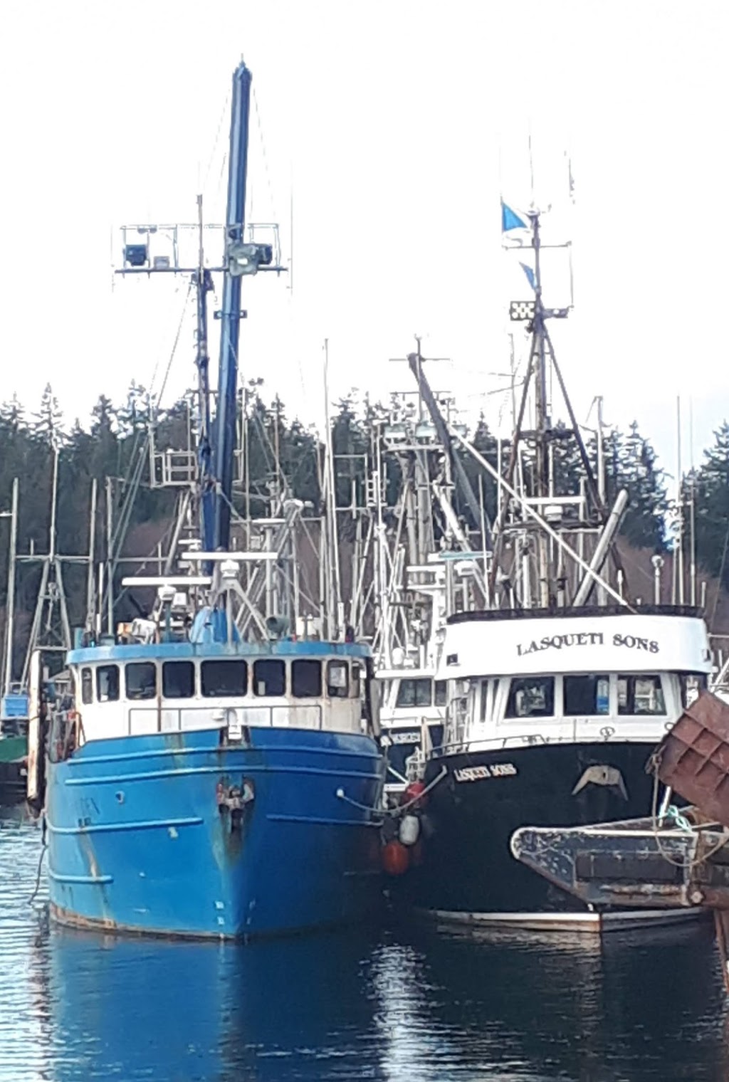 Harbour Authority of French Creek | 1055 Lee Rd, Parksville, BC V9P 2E1, Canada | Phone: (250) 248-5051