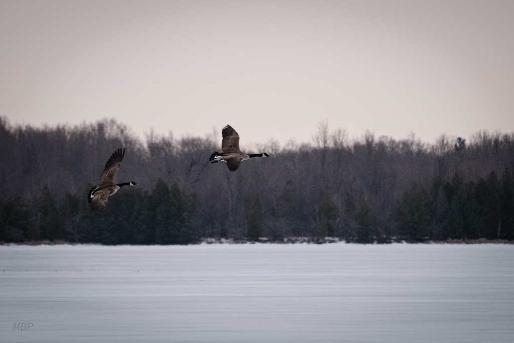 Marc Beach Photography | 150 Osborne Rd, Athens, ON K0E 1B0, Canada | Phone: (613) 802-1030