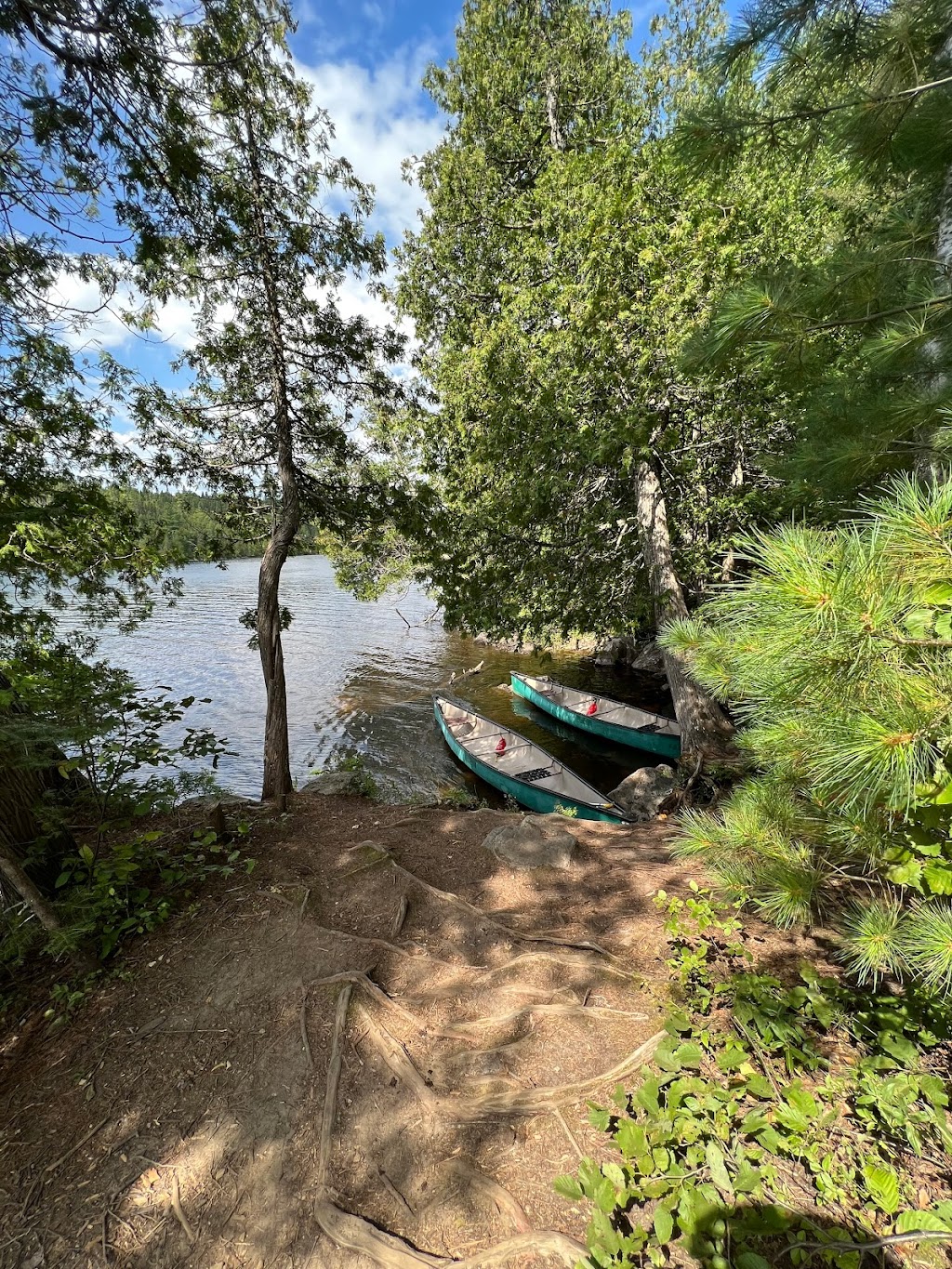 La Vérendrye Wildlife Reserve | 1070 3e avenue est, Val-dOr, QC J9P 0J6, Canada | Phone: (819) 354-4392