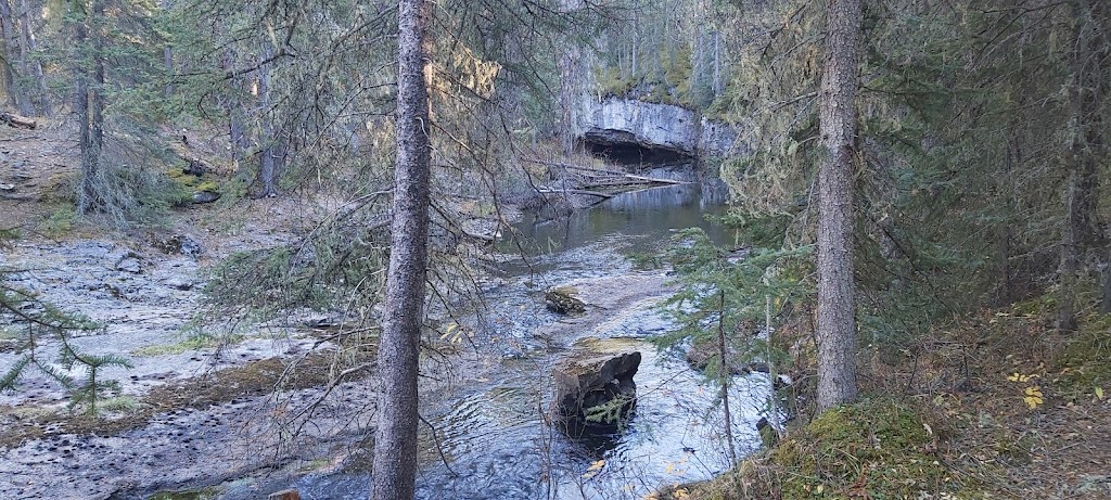 Westward Bound Campgrounds Ltd | Nordegg, AB T0M 2H0, Canada | Phone: (403) 721-3975