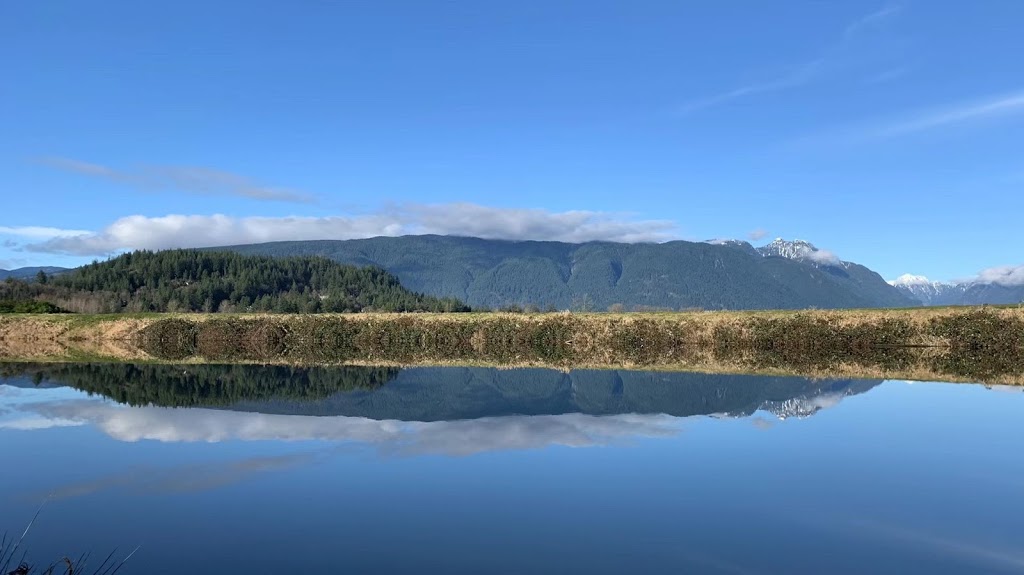 Pitt Meadows Paddling Club | 14411 Harris Rd, Pitt Meadows, BC V3Y 2T2, Canada | Phone: (778) 847-7672