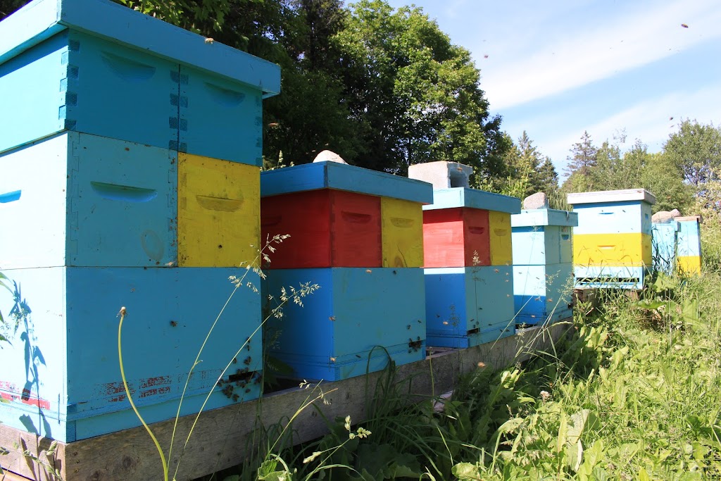 Ahmic Lake Apiaries | 4 Old Nippissing Road, South St, Magnetawan, ON P0A 1P0, Canada | Phone: (705) 380-4661