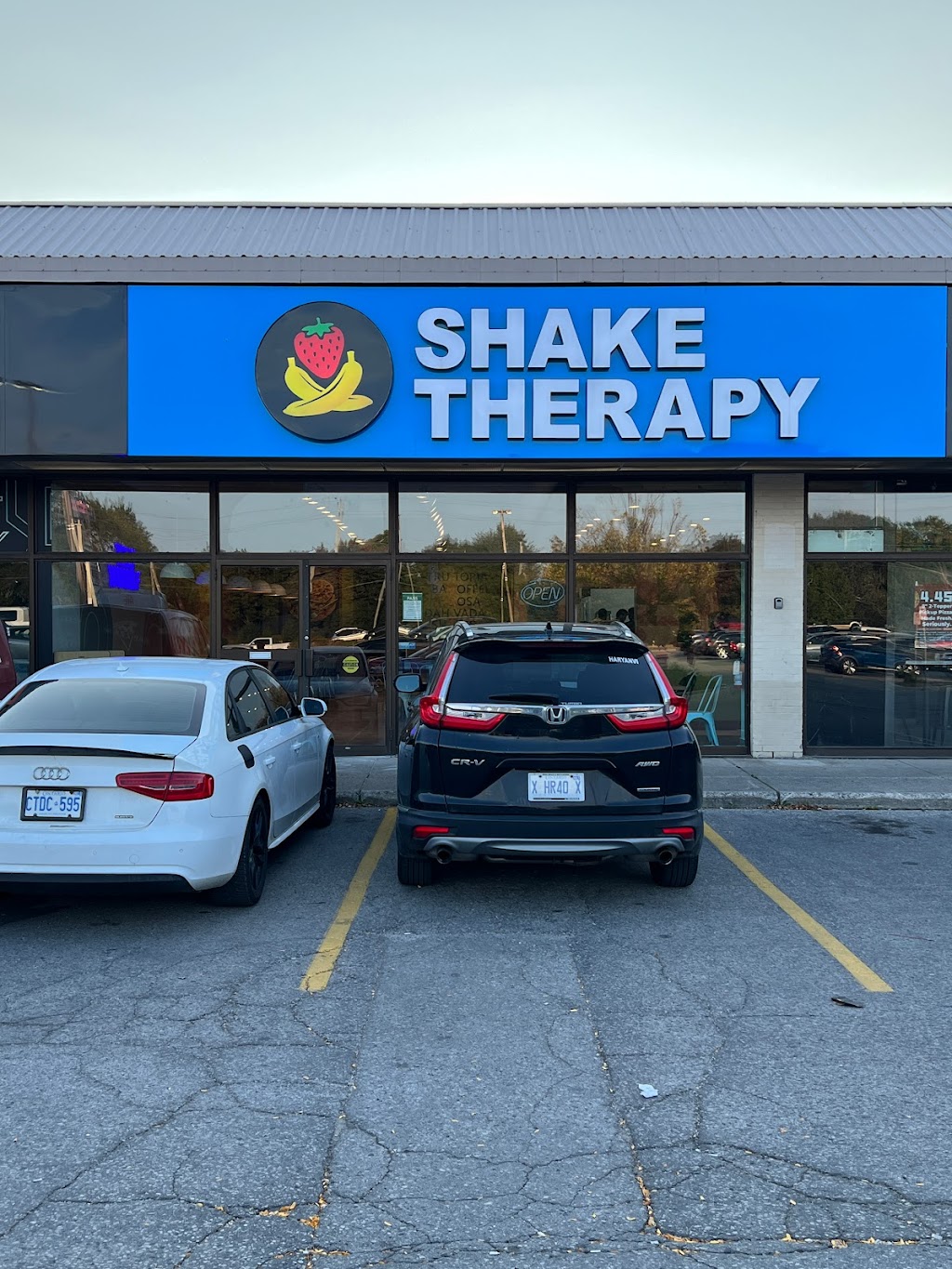 Shake Therapy London | 979 Wellington Rd Unit 105, London, ON N6E 3A9, Canada | Phone: (548) 689-9226