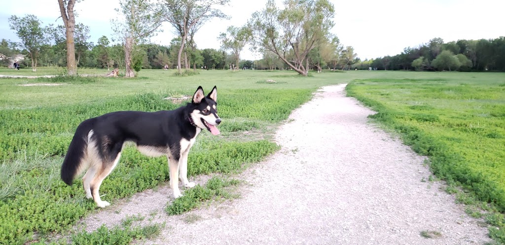 Charleswood Off Leash Dog Park | 3890 Haney St, Winnipeg, MB R3R, Canada