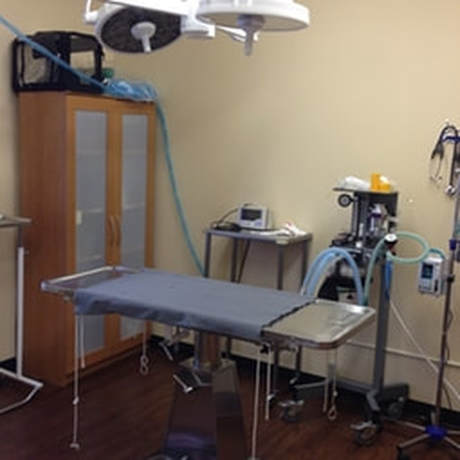 Simcoe Animal Hospital | 16 Decou Rd, Simcoe, ON N3Y 4K8, Canada | Phone: (519) 426-0111