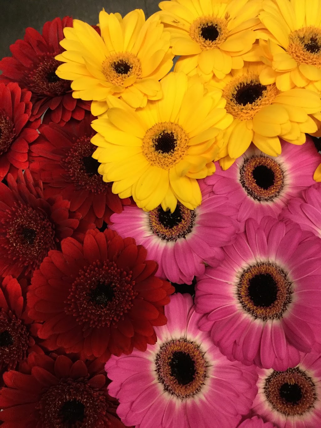 Flower Gallery | 4119 17 Ave SE, Calgary, AB T2A 0T1, Canada | Phone: (403) 248-2400