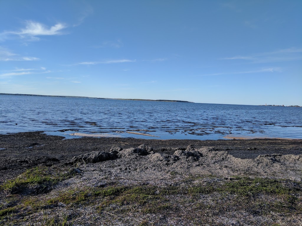 Shediac Bay Yacht Club Ltd | 168 Rue Pleasant, Shédiac, NB E4P 2L8, Canada | Phone: (506) 532-7007