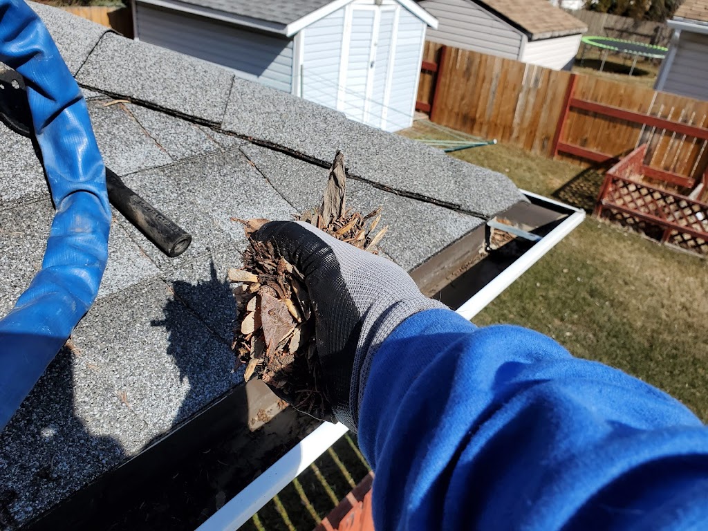 Neon Window Cleaning | 74 Tonewood Blvd, Spruce Grove, AB T7X 0W4, Canada | Phone: (587) 336-9779