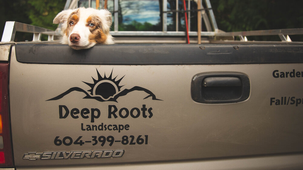 Deep Roots Landscape | 5522 Wakefield Rd, Sechelt, BC V0N 3A8, Canada | Phone: (604) 399-8261