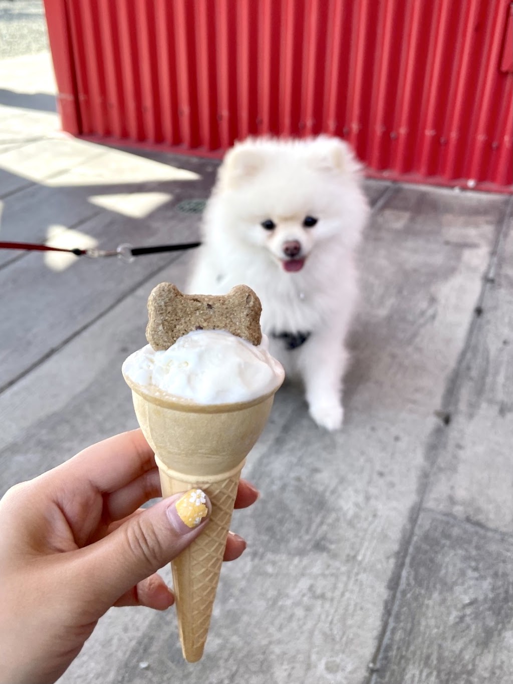 Alice + Brohm Ice Cream Co. (Garibaldi) | 1861 Mamquam Rd Unit 9, Squamish, BC V8B 0G2, Canada | Phone: (604) 815-4321