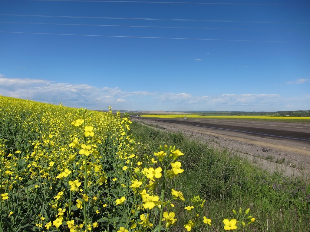 Persons Chemical Supply | 18 402 Ave W, Okotoks, AB T1S 1A1, Canada | Phone: (403) 998-3187