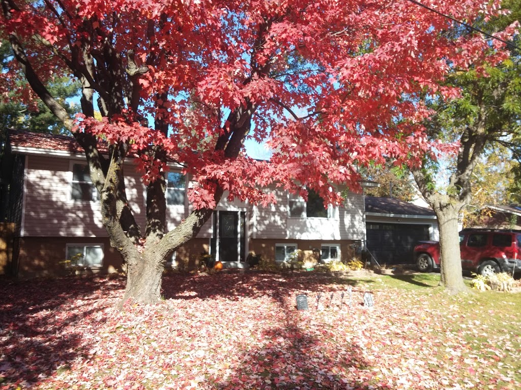 Alexander Grove Park | 10 Warner-Colpitts Ln, Stittsville, ON K2S 1V7, Canada | Phone: (613) 580-2595