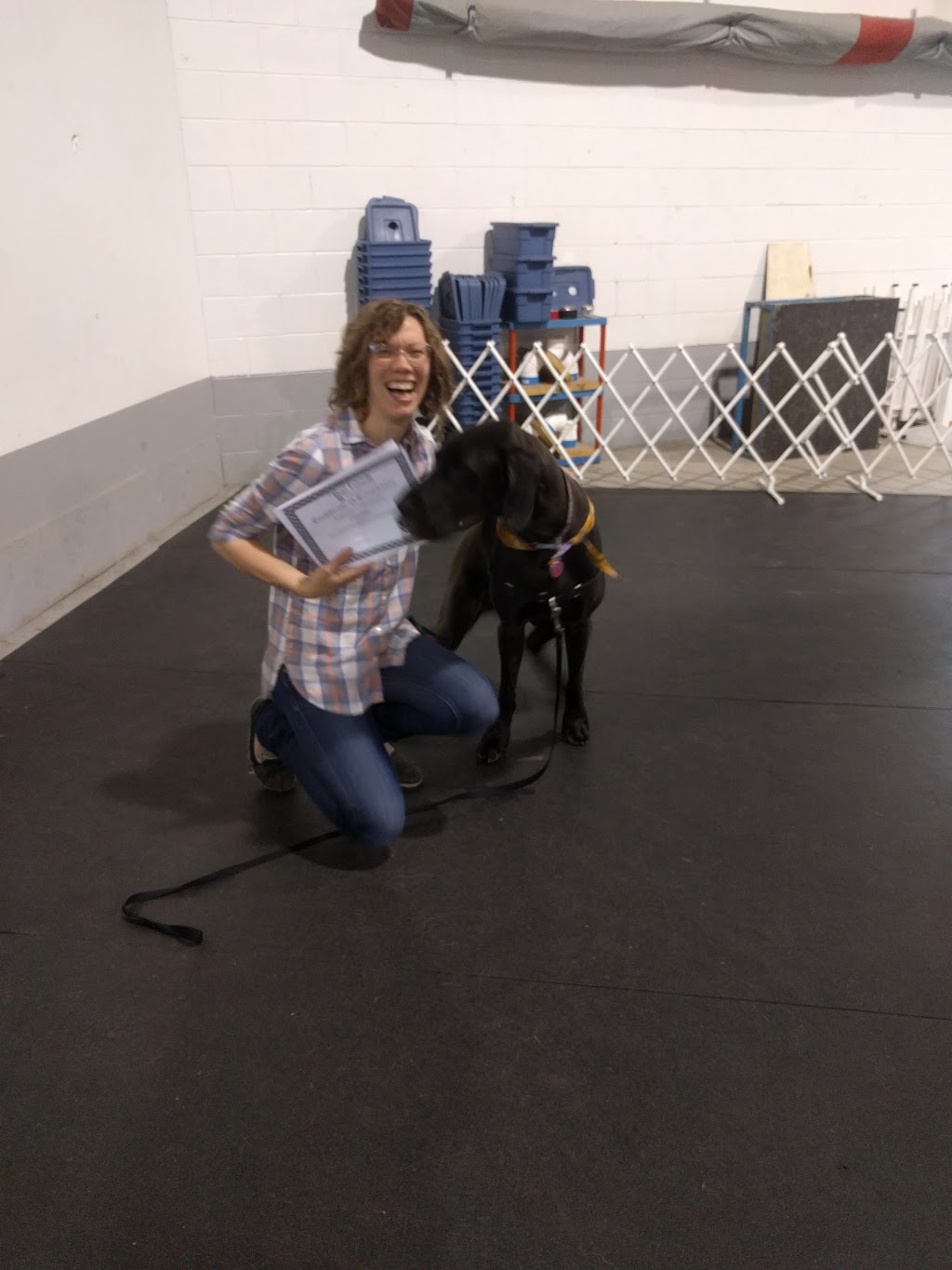 Best Friends Dog Training | 2413 Stevenage Dr, Ottawa, ON K1G 3W1, Canada | Phone: (613) 667-9948