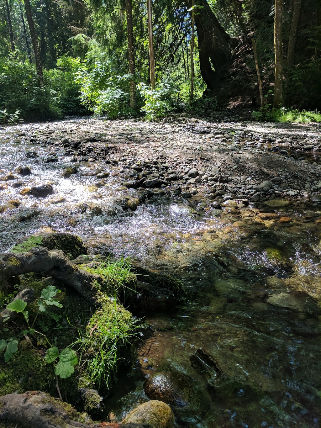 Stoney Creek Park | Latimer St, Abbotsford, BC V2S 7J8, Canada | Phone: (604) 853-2281