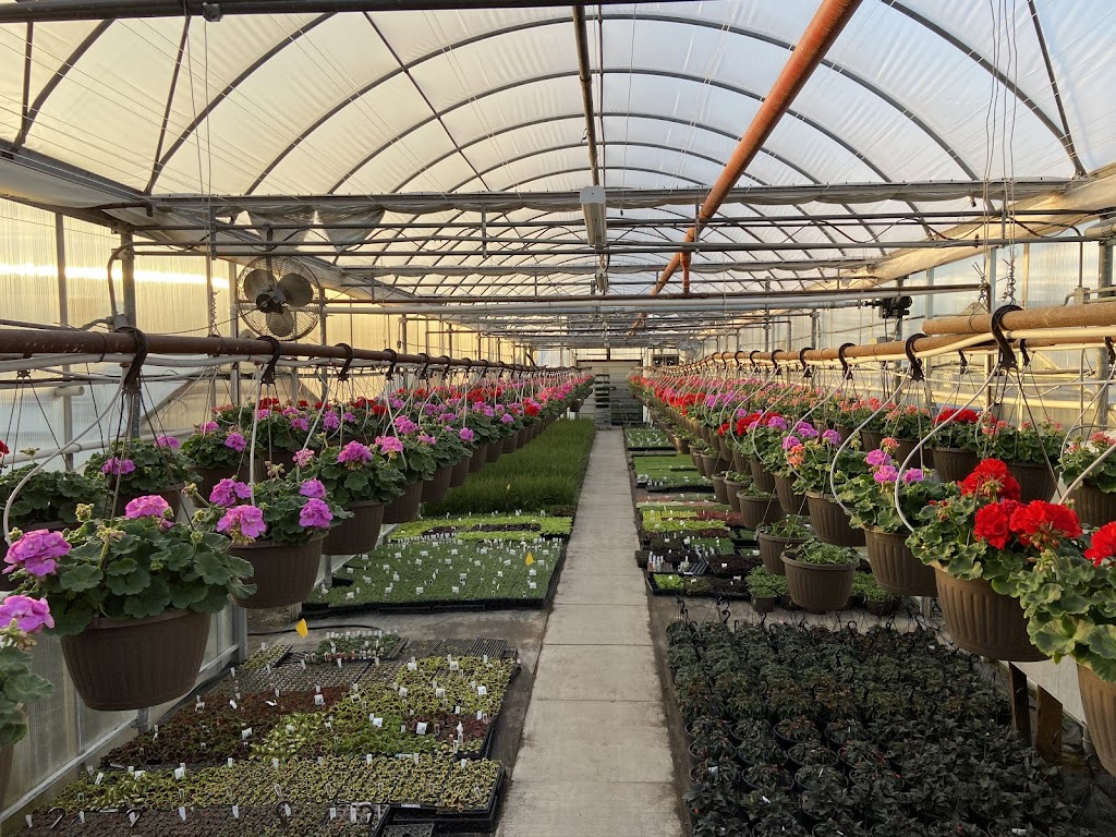 Berkies Bloomers | 4380 Wellington Rd S, London, ON N6E 3A2, Canada | Phone: (226) 984-1722