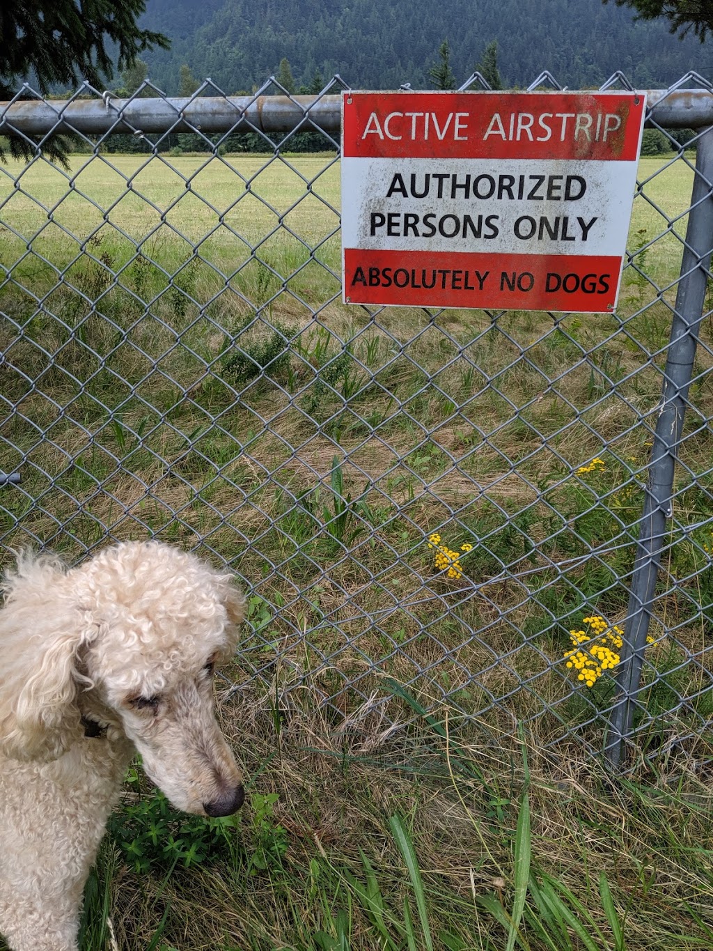 At Rivers Edge Kennel | 62465 Airport Rd, Hope, BC V0X 1L2, Canada | Phone: (604) 869-5366