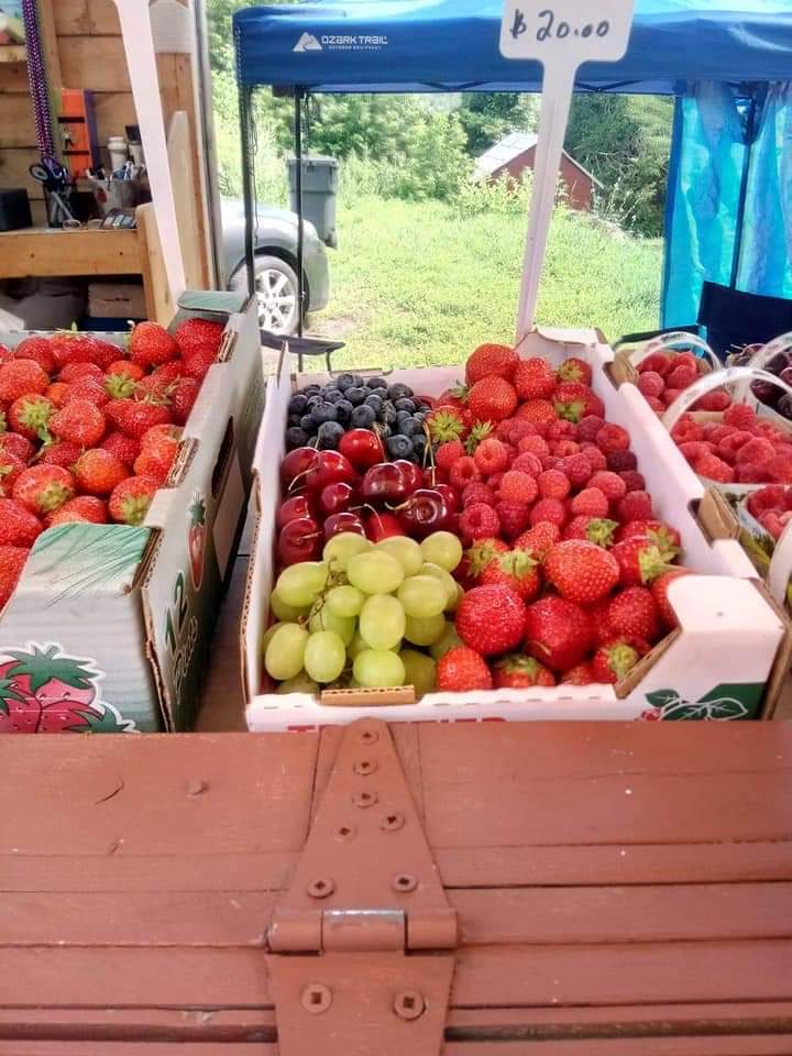 Le Potager de Francoise | 1841 Principale St, Chute-à-Blondeau, ON K0B 1B0, Canada | Phone: (450) 612-4746