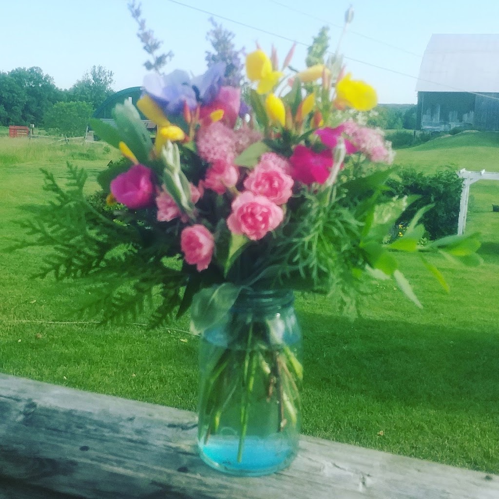 Maple Haven Farm | 54710 Heritage Line, Straffordville, ON N0J 1Y0, Canada | Phone: (519) 877-9066