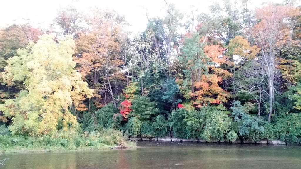 PineCliff Park | 20 Pine Cliff Dr, Mississauga, ON L5N 1E2, Canada | Phone: (905) 615-4311
