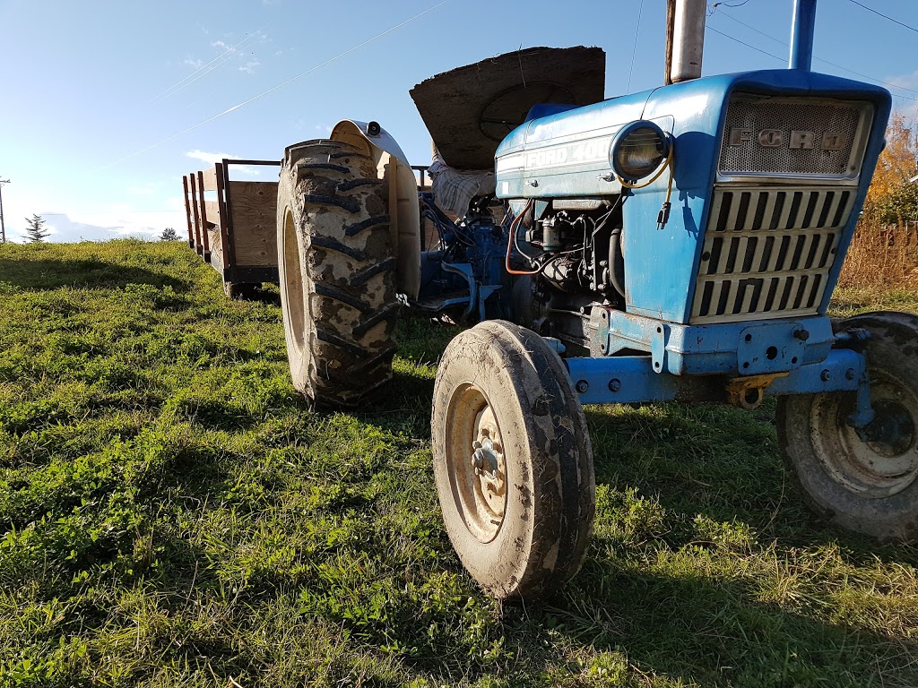 McMillan Farms | 3690 Berard Rd #1, Kelowna, BC V1W 4A9, Canada | Phone: (250) 448-2336