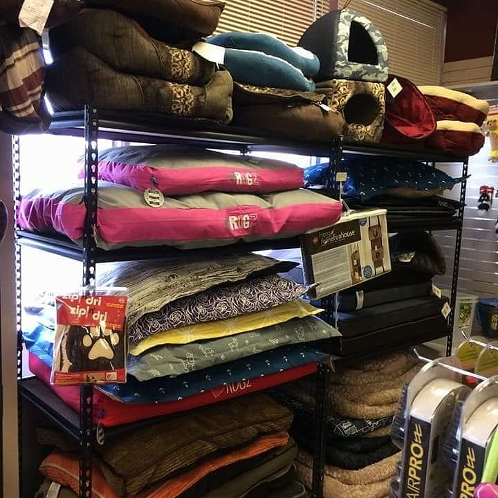 Global Pet Foods Manning Crossing | 276 Manning Crossing ( beside the Safeway 58 Street and, 137 Avenue NorthWest, Edmonton, AB T5A 5A1, Canada | Phone: (780) 457-3647
