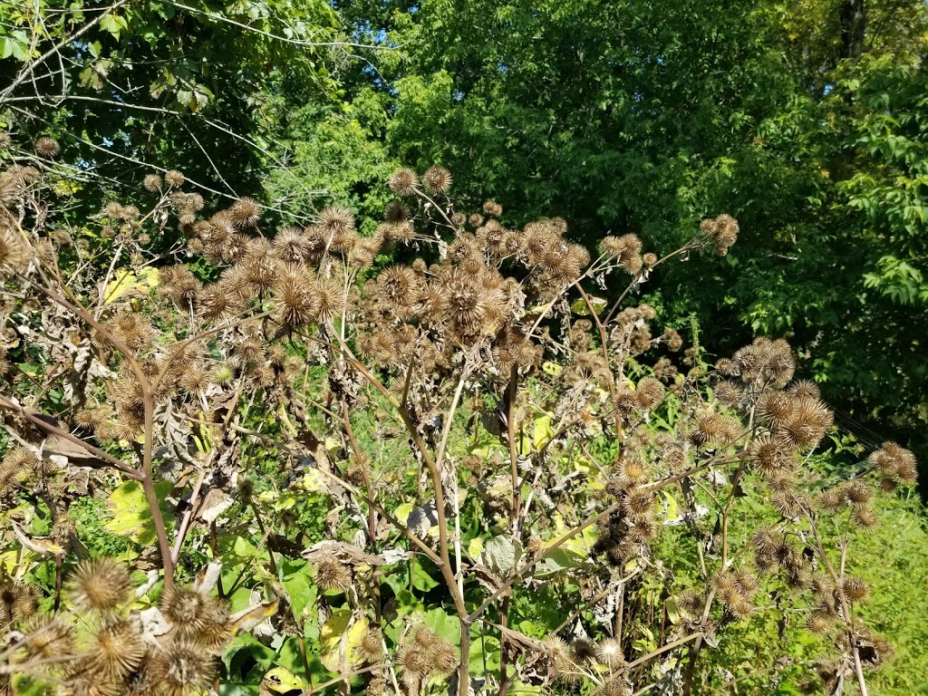 Parc | 522 Rang du Bas de la Rivière, Saint-Damase, QC J0H 1J0, Canada