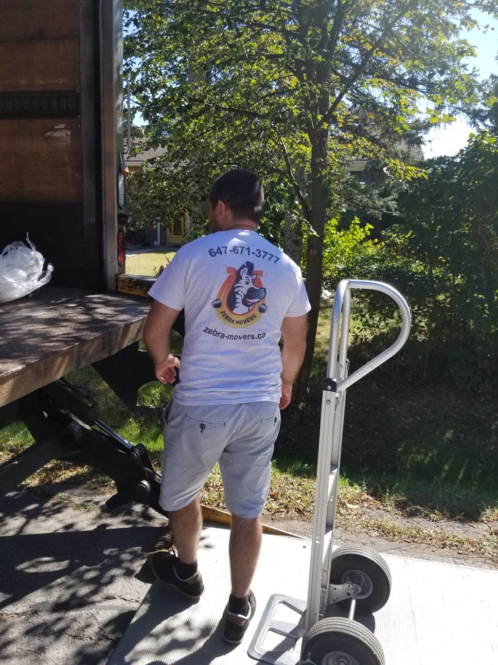Zebra Movers Newmarket | 98 Jordanray Blvd, Newmarket, ON L3X 2P8, Canada | Phone: (905) 657-9207