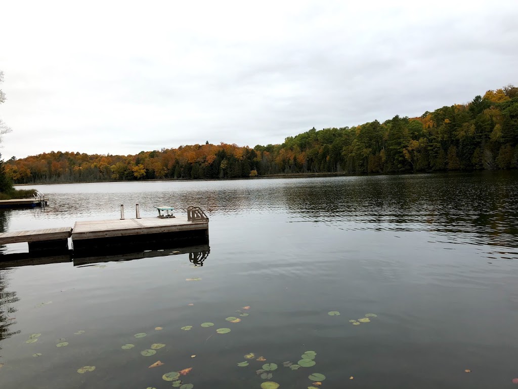 Crystal Lake | 2940 Crystal Lake Rd, Kinmount, ON K0M 2A0, Canada | Phone: (705) 488-1633
