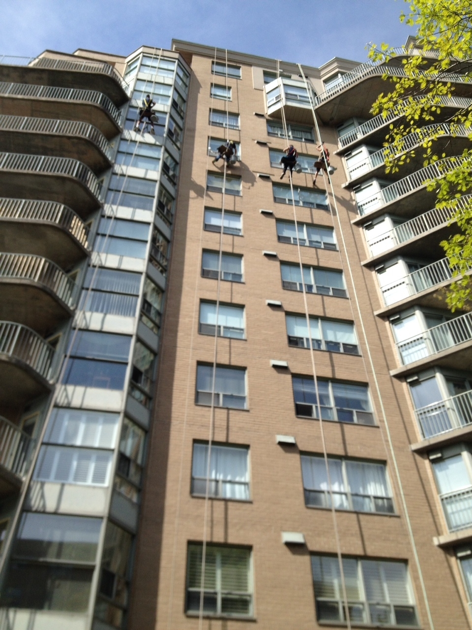 Universal Window Cleaning Ltd | 1576 Upper James St, Hamilton, ON L9B 1K3, Canada | Phone: (905) 549-2048