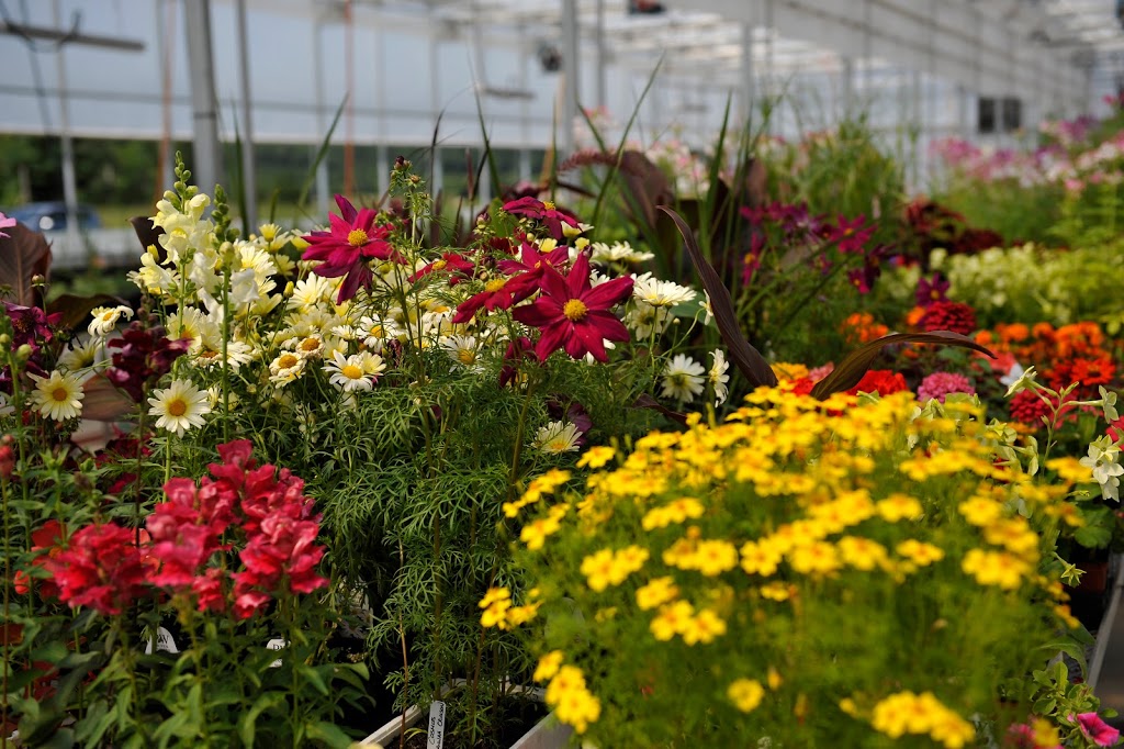 Pepiniere Jardins Des Rives | 3165 Route des Tulipes, La Conception, QC J0T 1M0, Canada | Phone: (819) 686-3636