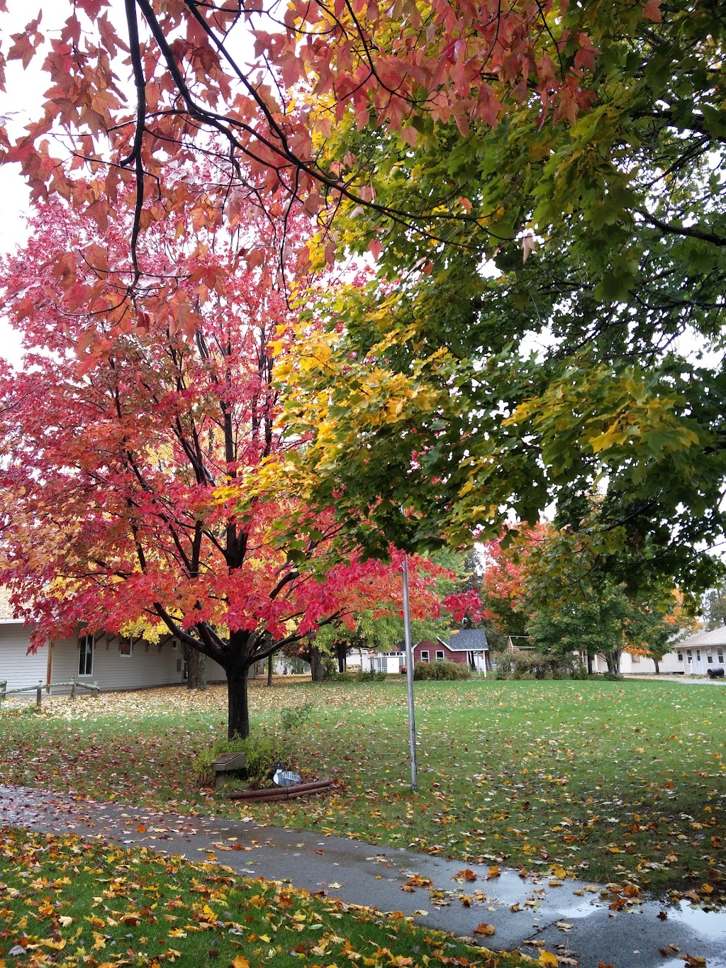 Easter Seals Camp Merrywood | 741 Port Elmsley Rd, Perth, ON K7H 3C7, Canada | Phone: (613) 267-1244