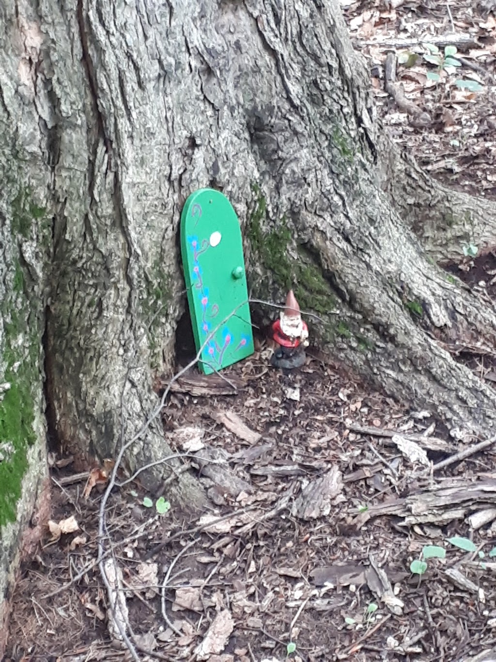 Walker Woods | New Hamburg, ON N3A 0A3, Canada