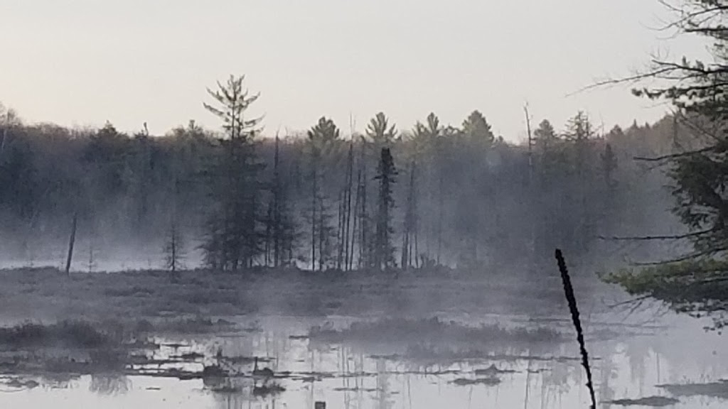 Church of Our Lady Southwood | 3500 Southwood Rd, Gravenhurst, ON P1P 1R2, Canada