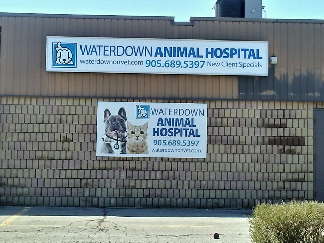 Waterdown Animal Hospital | 245 Dundas St E, Hamilton, ON L8B 0E9, Canada | Phone: (905) 689-5397