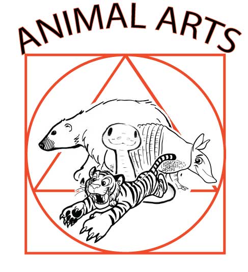 Aikido Durham | 15258 Simcoe Street North, Port Perry, ON L9L 1J8, Canada | Phone: (289) 638-6161