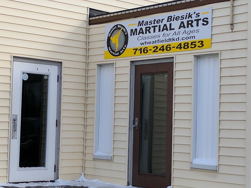 Master Biesik’s Martial Arts | 1087 Erie Ave Suite 202, North Tonawanda, NY 14120, USA | Phone: (716) 246-4853