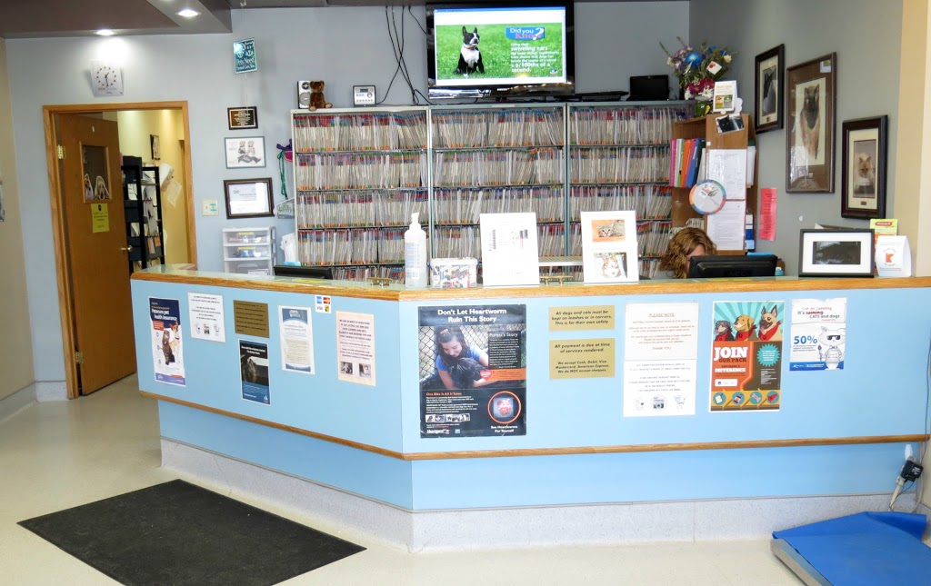 McPhillips Animal Hospital | 2211-B McPhillips St, Winnipeg, MB R2V 3M5, Canada | Phone: (204) 589-8381