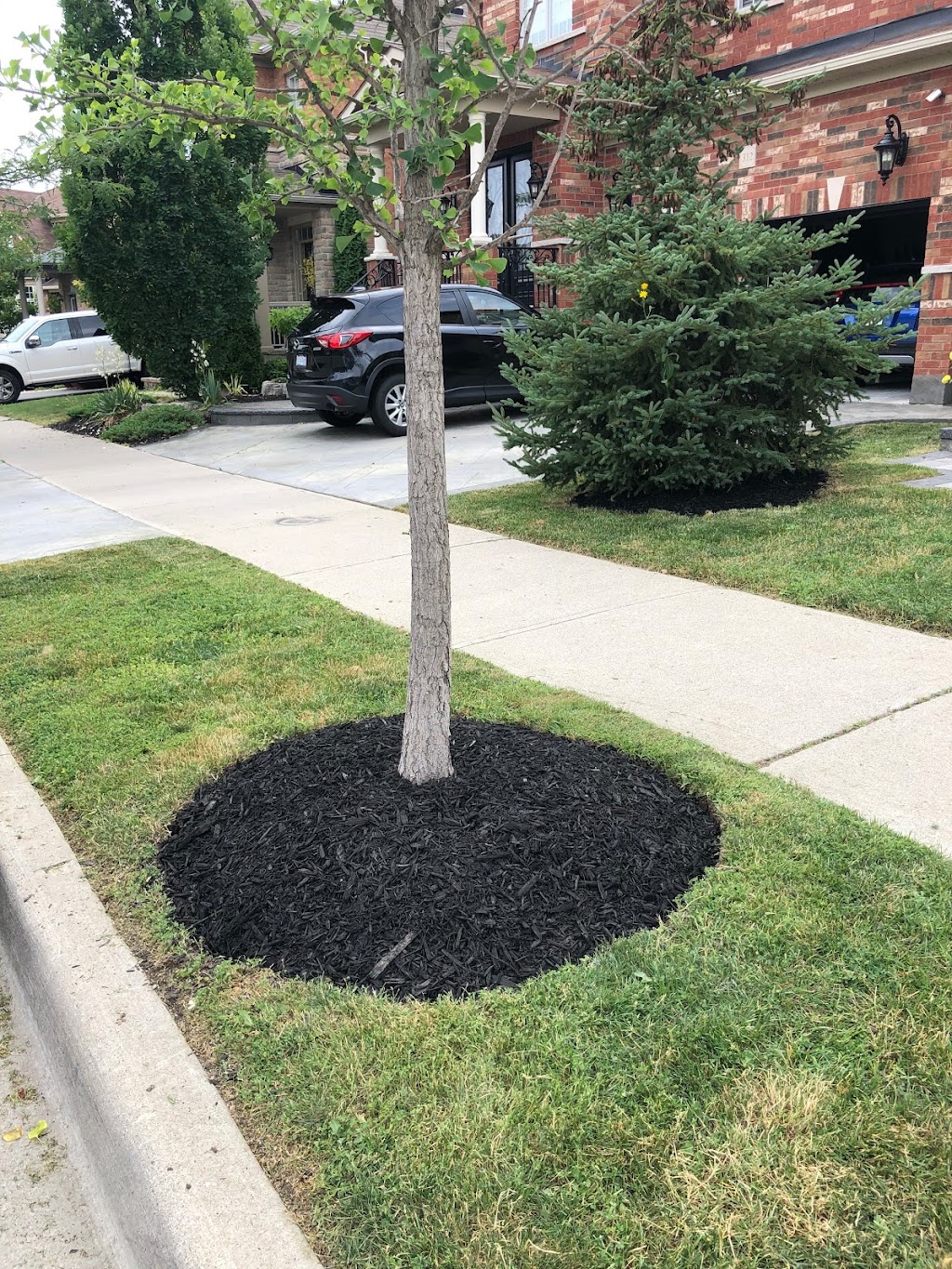Louch Landscapes | 80 McKnight Ave, Waterdown, ON L0R 2H1, Canada | Phone: (647) 206-4711