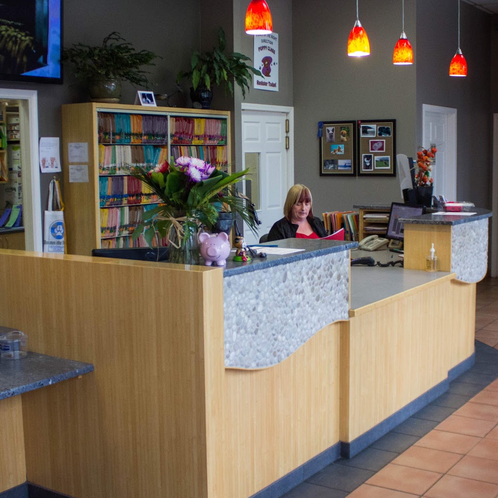 Juan De Fuca Veterinary Clinic | 117-2244 Sooke Rd, Victoria, BC V9B 1X1, Canada | Phone: (250) 478-0422
