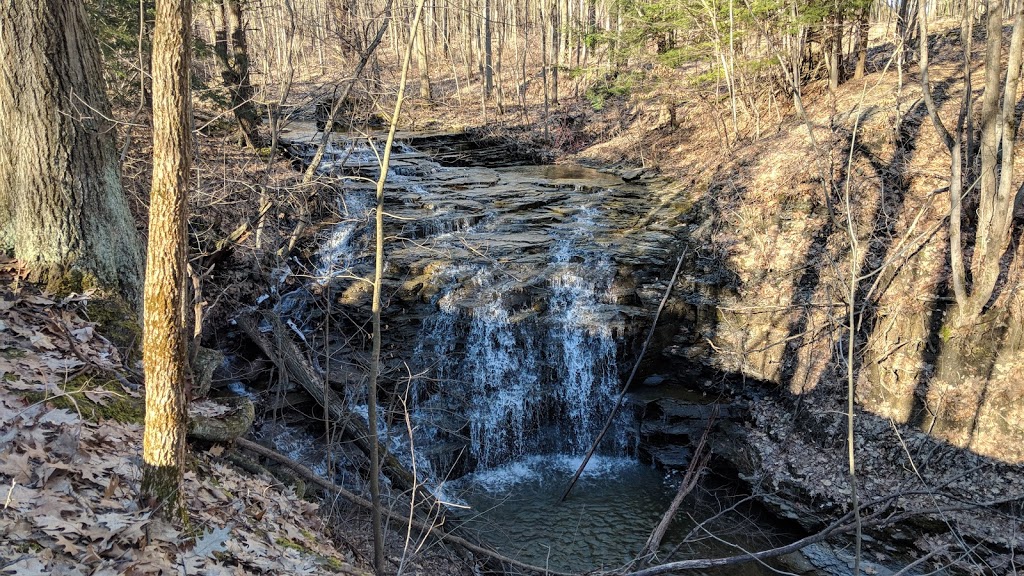 The Owens Falls Sanctuary | 720 Center St, East Aurora, NY 14052, USA | Phone: (716) 687-1225