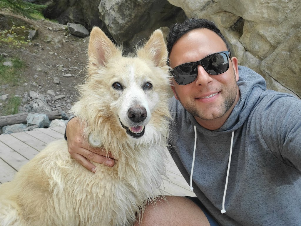 Cache Creek Veterinary Hospital | 1348 Old Cariboo Rd, Cache Creek, BC V0K 1H0, Canada | Phone: (250) 457-6203