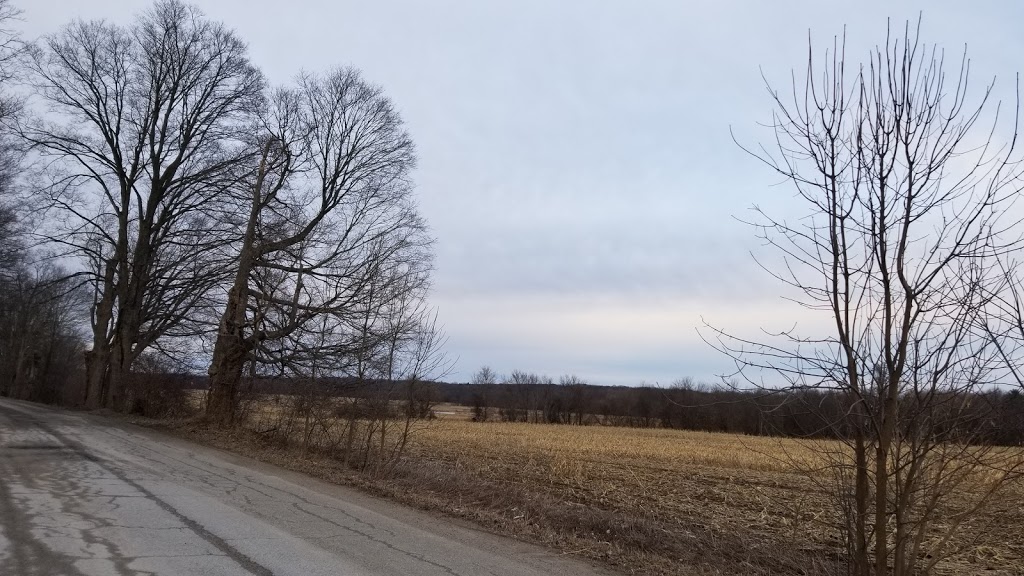 Lyn Valley Conservation Area | 90 Lyn Valley Rd, Lyn, ON K0E 1M0, Canada | Phone: (613) 546-4228