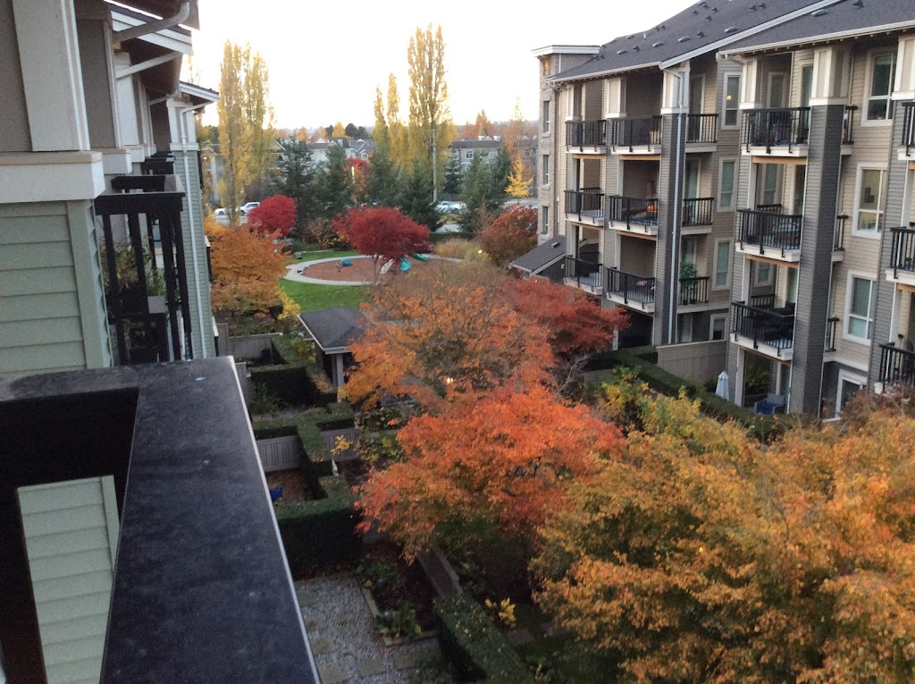 Cornerstone | 5655 210a St #103, Langley, BC V3A 0C9, Canada | Phone: (604) 534-6000