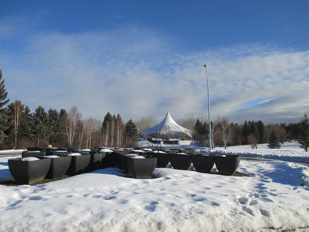 Silver Skate Festival Society | 10212 112 St NW, Edmonton, AB T5K 1M4, Canada | Phone: (780) 488-1960