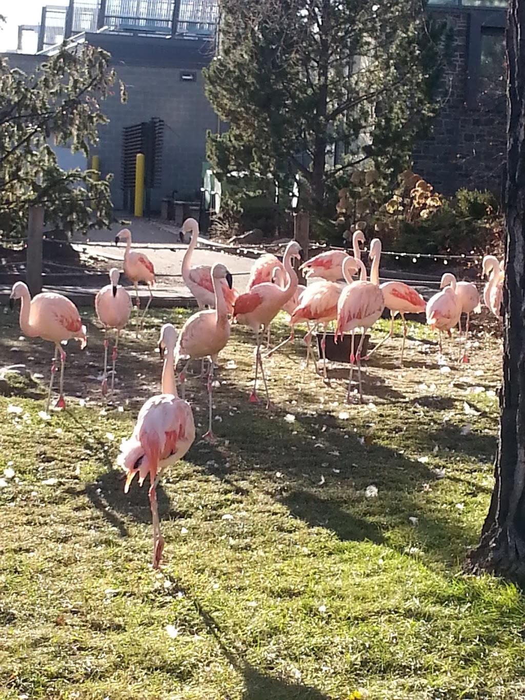 CPA Calgary Zoo - West Lot | 1300 Zoo Rd NE, Calgary, AB T2E 7V6, Canada | Phone: (403) 537-7000