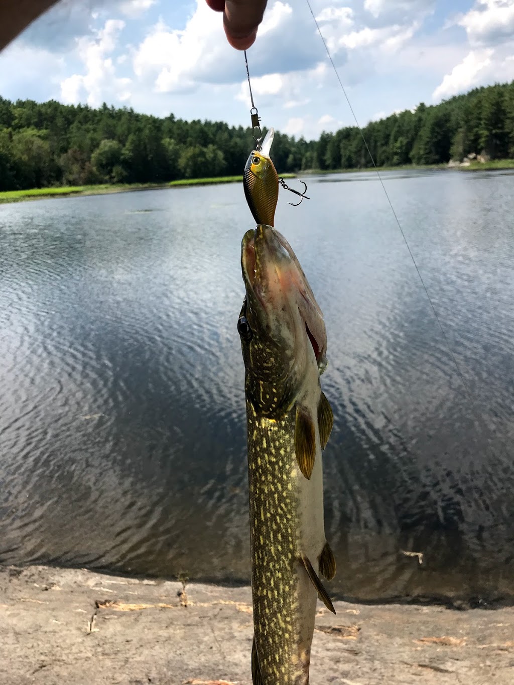 Crotch Lake Access Point | Ompah, ON K0H 2J0, Canada | Phone: (613) 479-0399